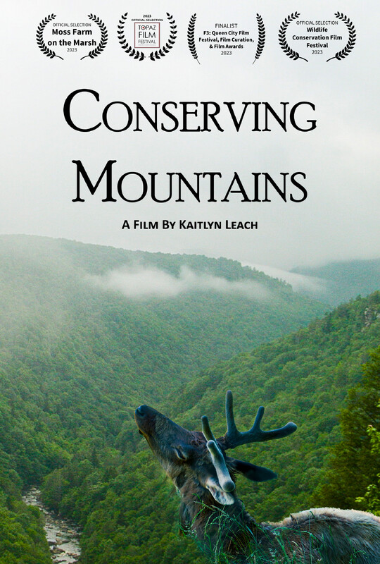 CONSERVING MOUNTAINS short film, reactions Environmental Festival (interview)