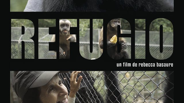 REFUGIO short film, audience reaction...