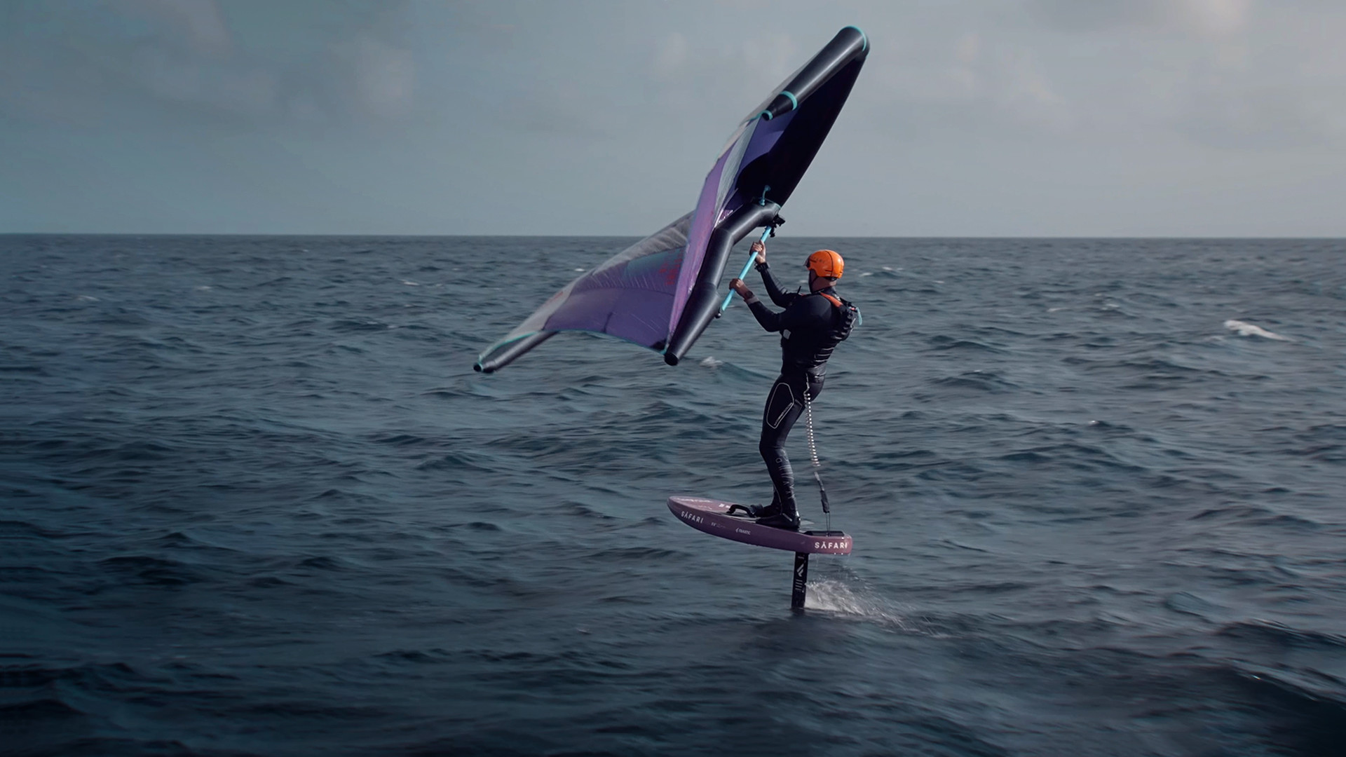 GONE WITH THE WING short film, audience reactions (with interview)