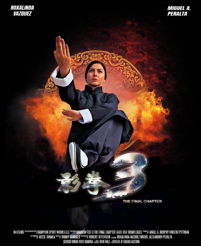 SHADOW FIST 3: THE FINAL CHAPTER short film, reactions ACTION/ADVENTURE Festival