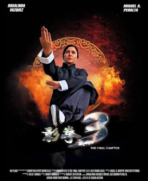 SHADOW FIST 3: THE FINAL CHAPTER shor...