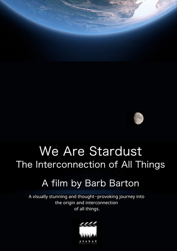 WE ARE STARDUST: THE INTERCONNECTION OF ALL THINGS short film, Toronto DOC Fest