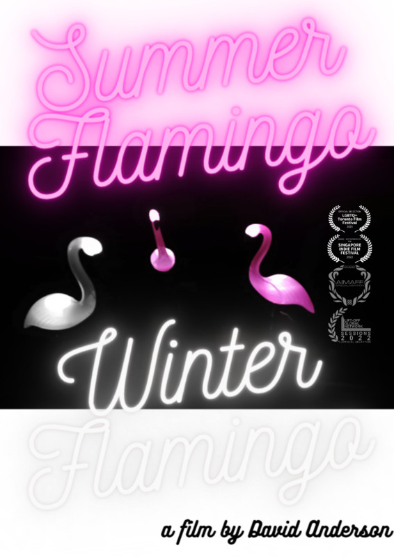 SUMMER FLAMINGO WINTER FLAMINGO audience reactions (director interview)