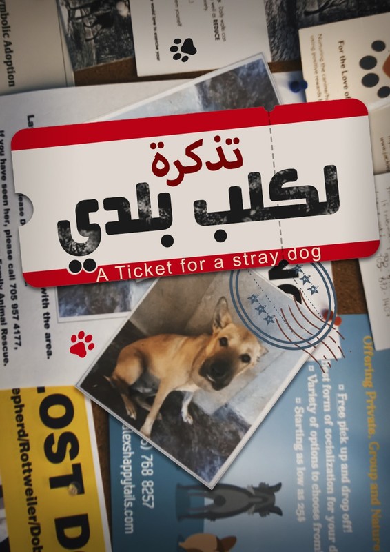 LONG AWAY FROM HOME short film, audience reactions