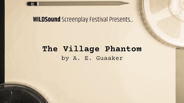 WILDsound Festival 1st Scene: THE VIL...