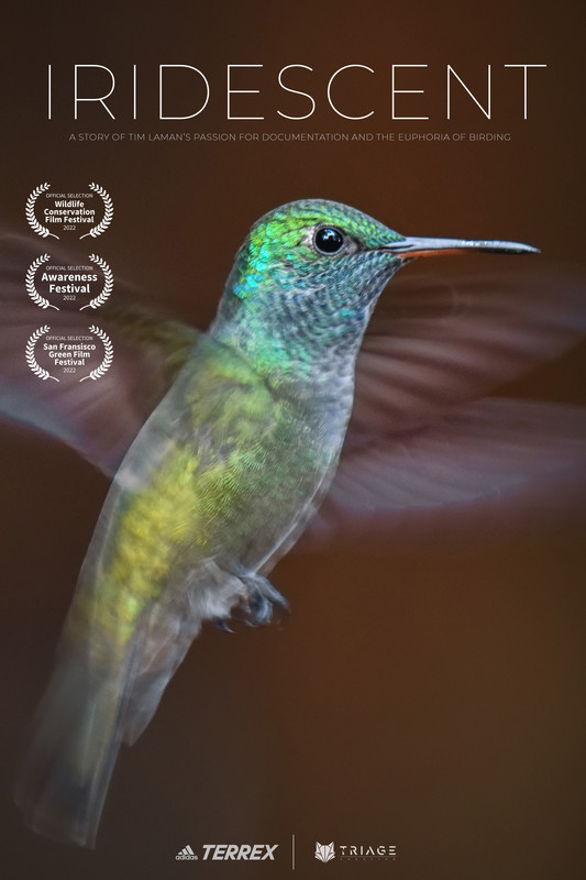 IRIDESCENT short film, audience reactionss