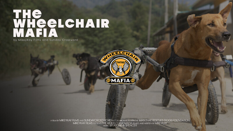 THE WHEELCHAIR MAFIA short film review (interview)