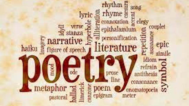 Poetry Reading: THE LION, by Nikki Ra...
