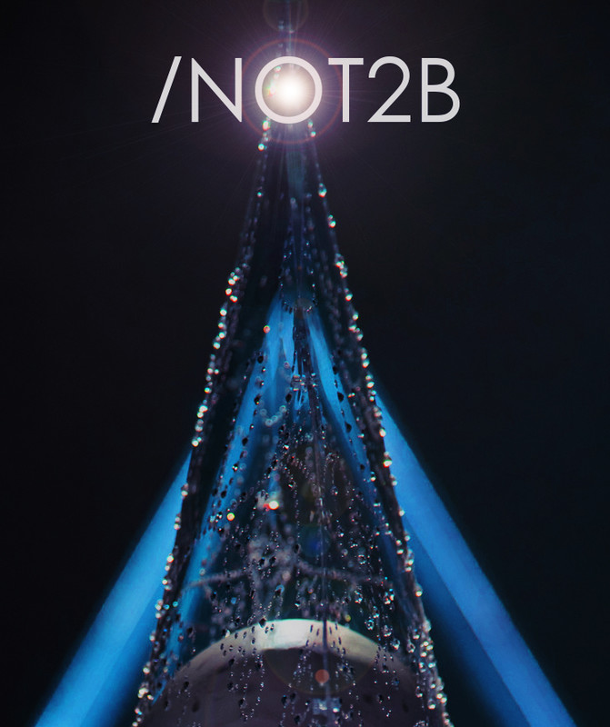 NOT2B - The Last Fashion Show short film, audience reactions