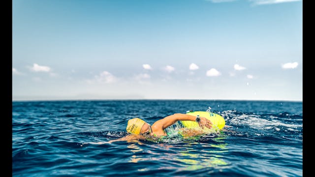 The Open Water Swim Traverse Short Fi...