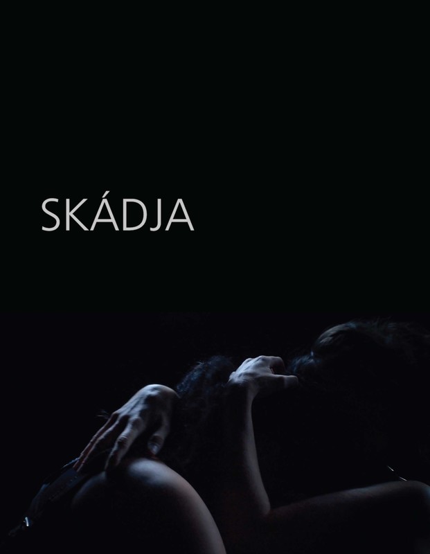 SKADJA short film, audience reactions