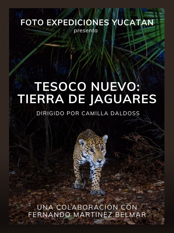 DOC Showcase Festival (HUMAN INTEREST) March 14/ 15 event