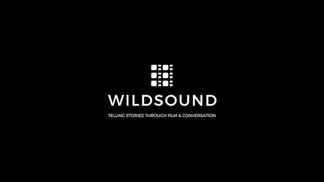 TORII short film, reactions WILDsound...