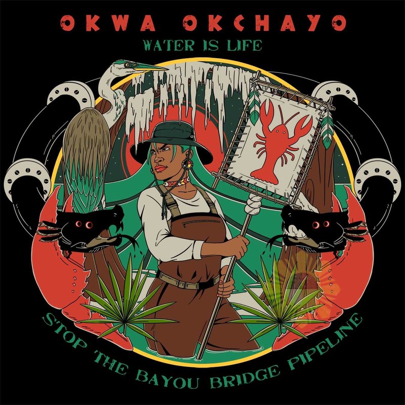 WATER IS LIFE: FROM STANDING ROCK TO THE SWAMP, 24min., Documentary/Environment