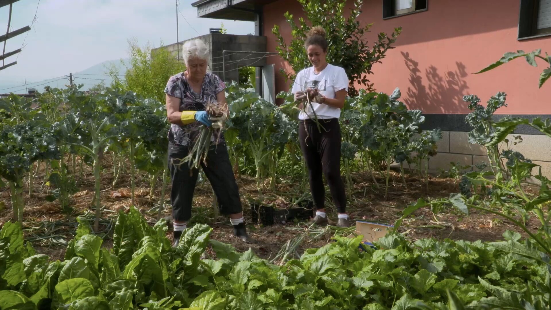 Watch Today's Festival: FEMALE Feature: I GREW ROOTS IN YOUR HOME