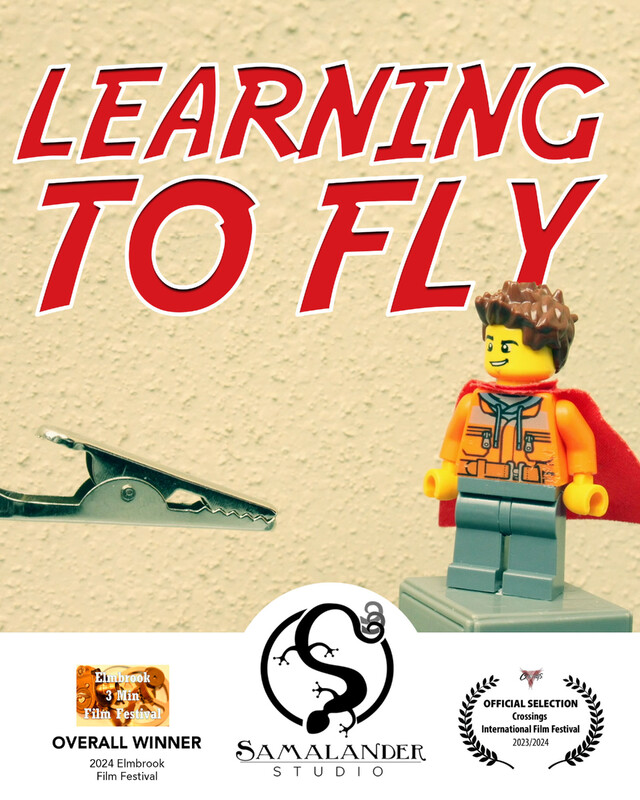 LEARNING TO FLY short film, reactions CHICAGO Festival 