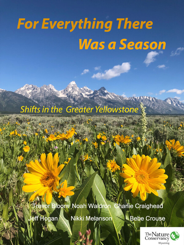 FOR EVERYTHING THERE WAS A SEASON documentary, reactions from Toronto DOC Fest