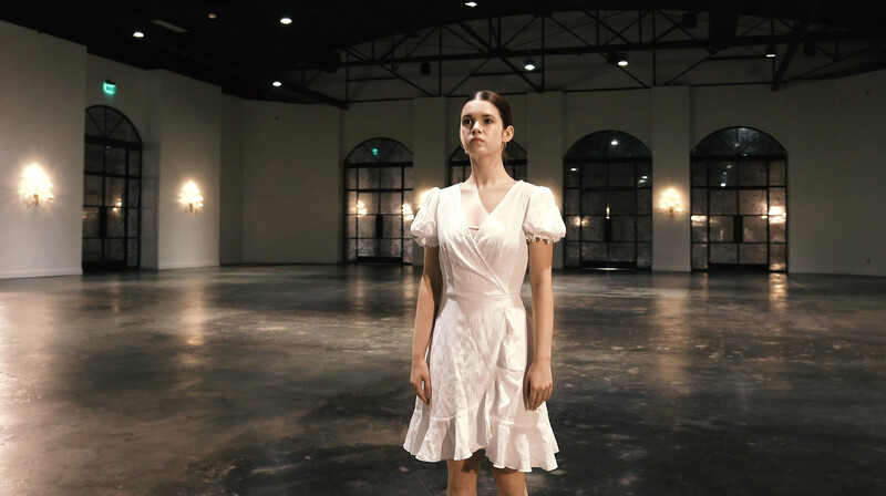 DANCE Shorts Festival - Feb. 10/11 event