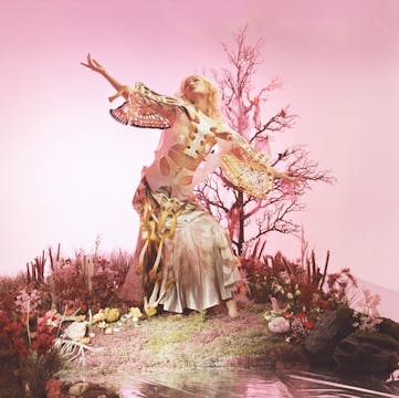 DISGUISE IN NATURE short film review