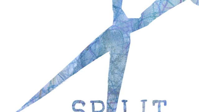 SPLIT ENDS short film, Chicago Feedba...