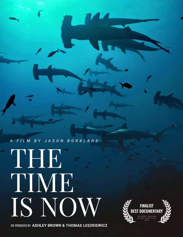 THE TIME IS NOW short film, audience reactions