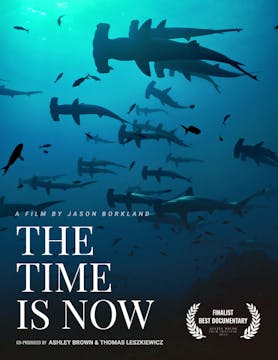 THE TIME IS NOW short film, audience ...