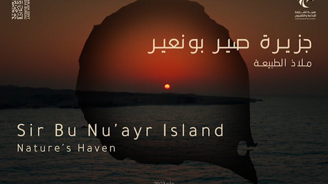 SIR BU NU'AYR ISLAND - NATURE'S HAVEN...