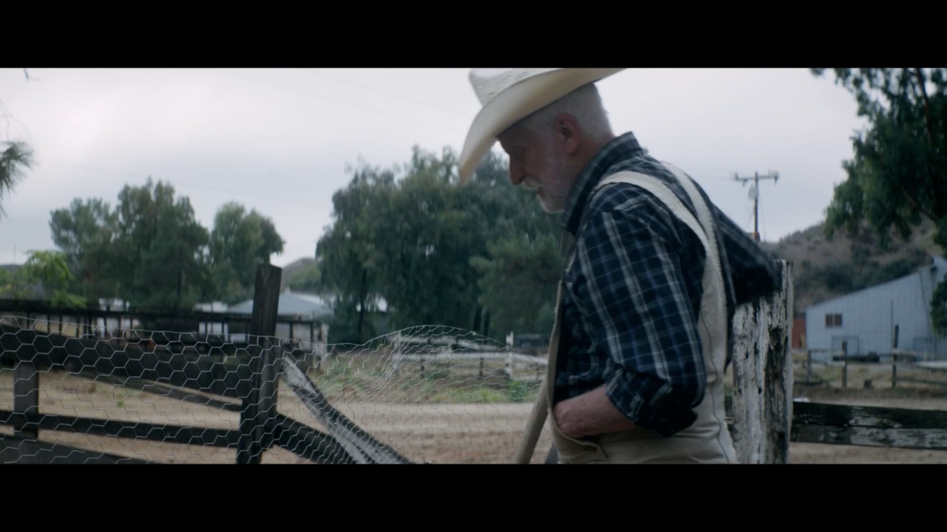 COOP short film, reactions LGBTQ+ Festival (interview)