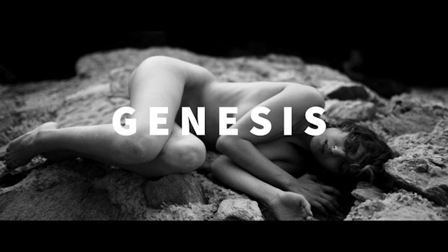 Genesis Short Film, Audience FEEDBACK from Nov. 2021 EXPERIMENTAL Film Festival