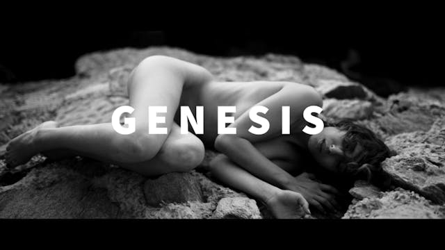 Genesis Short Film, Audience FEEDBACK...