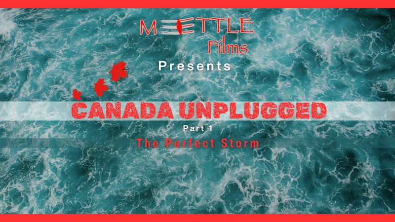 POLITICAL Showcase Festival 