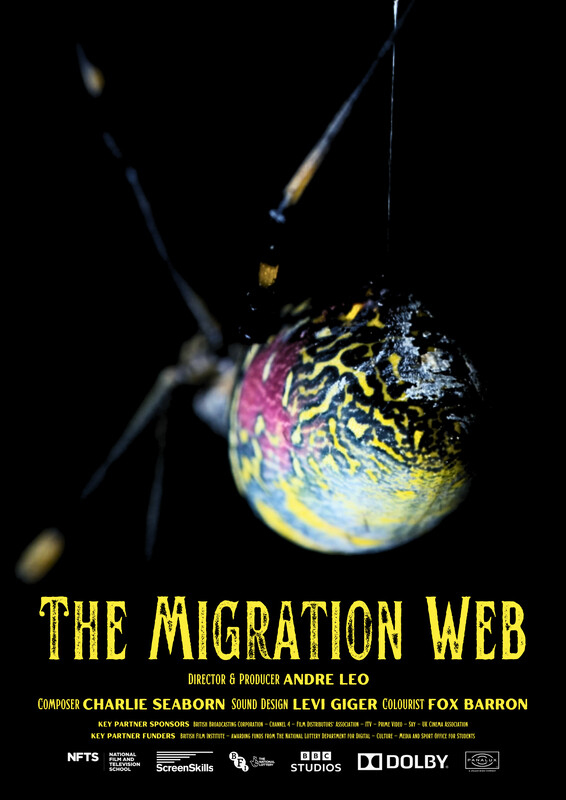 THE MIGRATION WEB short film, reactions Scence/Nature Festival