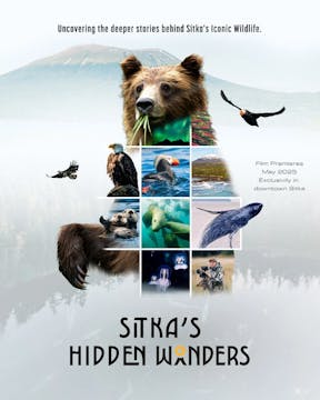 Watch the ENVIRONMENTAL Shorts Fest