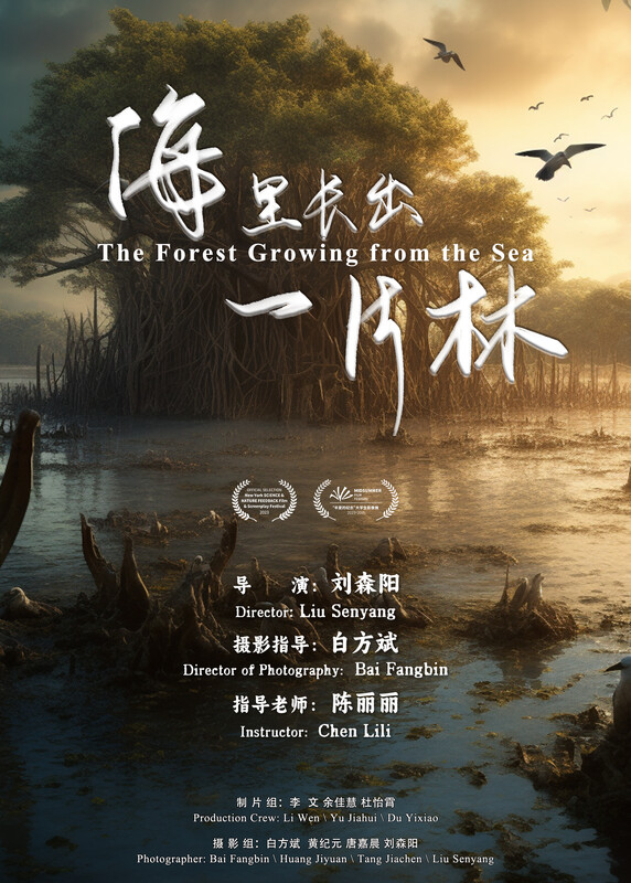 THE FOREST GROWING FROM THE SEA short film, audience reactions (interview)