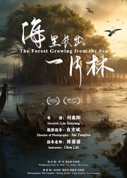 THE FOREST GROWING FROM THE SEA short...