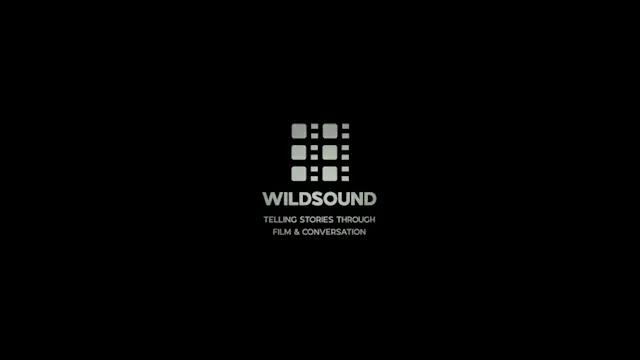 LOVE/BUG film, reactions WILDsound Fe...