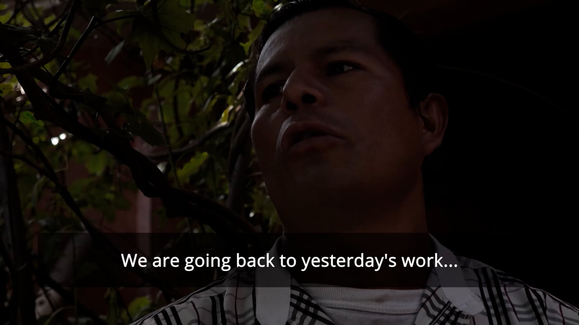 The Future of Chinampas: A Perspective From Its People, DOC Festiva (interview)