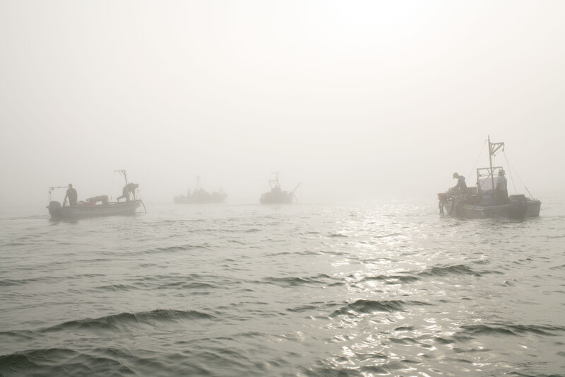 THE FISHERMAN, THE ALIEN, THE SEA film, reactions Toronto Doc Fest (interview)