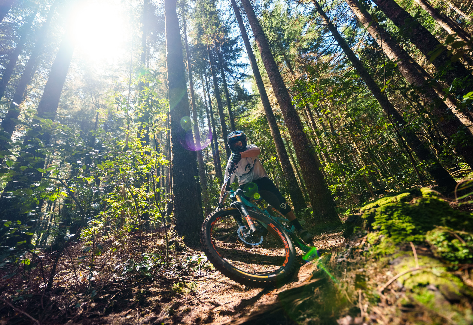 MADEIRA OUTDOOR STORIES short film, audience reactions