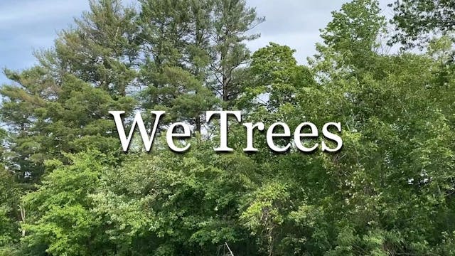 WE TREES, 3min., USA, Documentary/Env...