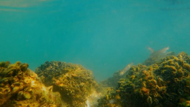 AXINOS, 5min., Greece, Family/Drama