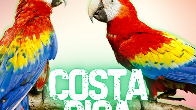 Watch YOUR EVERYDAY HEROES OF COSTA R...