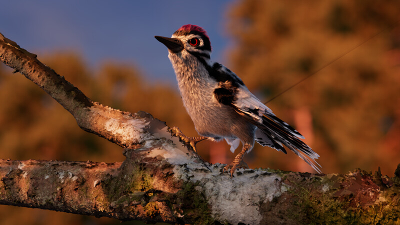 ENVIRONMENTAL Festival - March 17/18 evnt