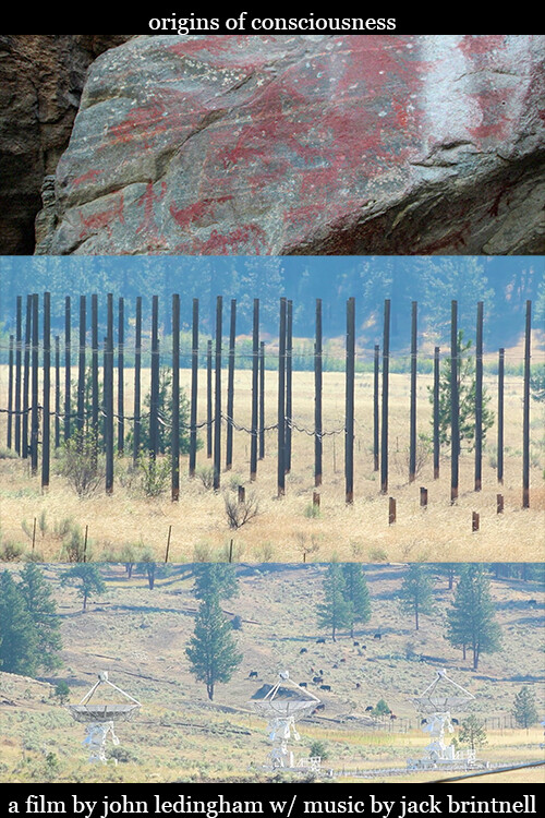 ORIGINS OF CONSCIOUSNESS short film, audience reactions (director interview)