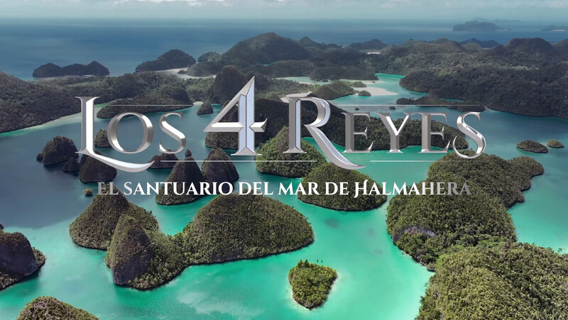 THE 4 KINGS, THE SANCTUARY IN HALMAHERA SEA film, Science & Nature fest feedback