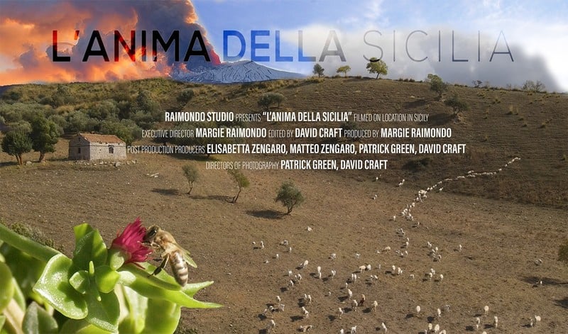 THE SOUL OF SICILY short film, audience reactions