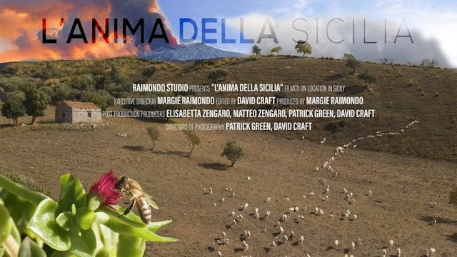 THE SOUL OF SICILY short film, audien...