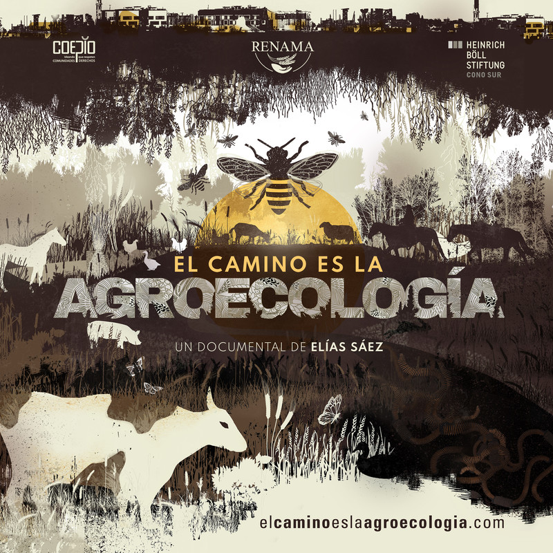 THE AGROECOLOGY PATH short film, audience reactions