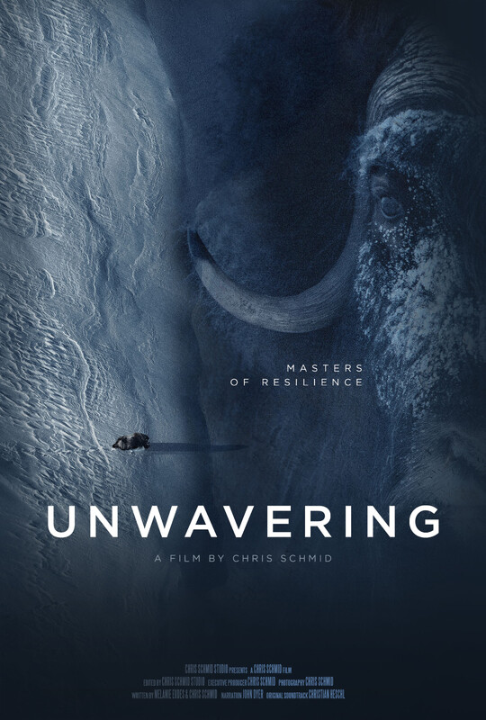 UNWAVERING short film, reactions Toronto DOC Festival