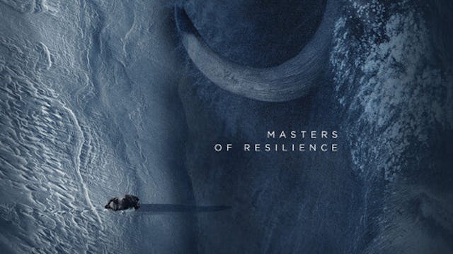 UNWAVERING short film, reactions Toro...